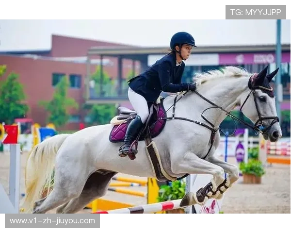 _马术表演盛典：优雅与力量的魅力展示_，马术表演完整视频在线观看